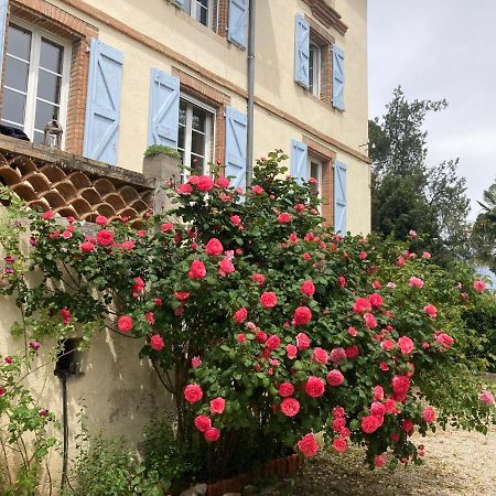 Domaine De Menerque - Petit Chateau Avec Piscine Lisle-sur-Tarn Экстерьер фото