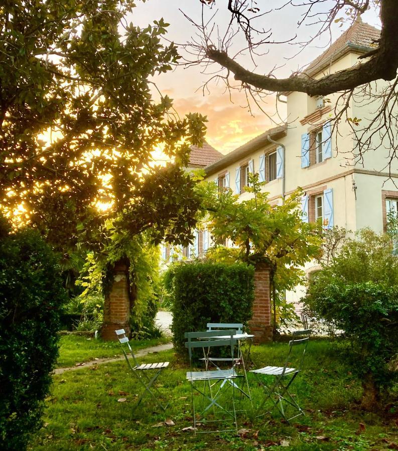 Domaine De Menerque - Petit Chateau Avec Piscine Lisle-sur-Tarn Экстерьер фото