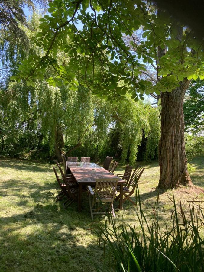 Domaine De Menerque - Petit Chateau Avec Piscine Lisle-sur-Tarn Экстерьер фото
