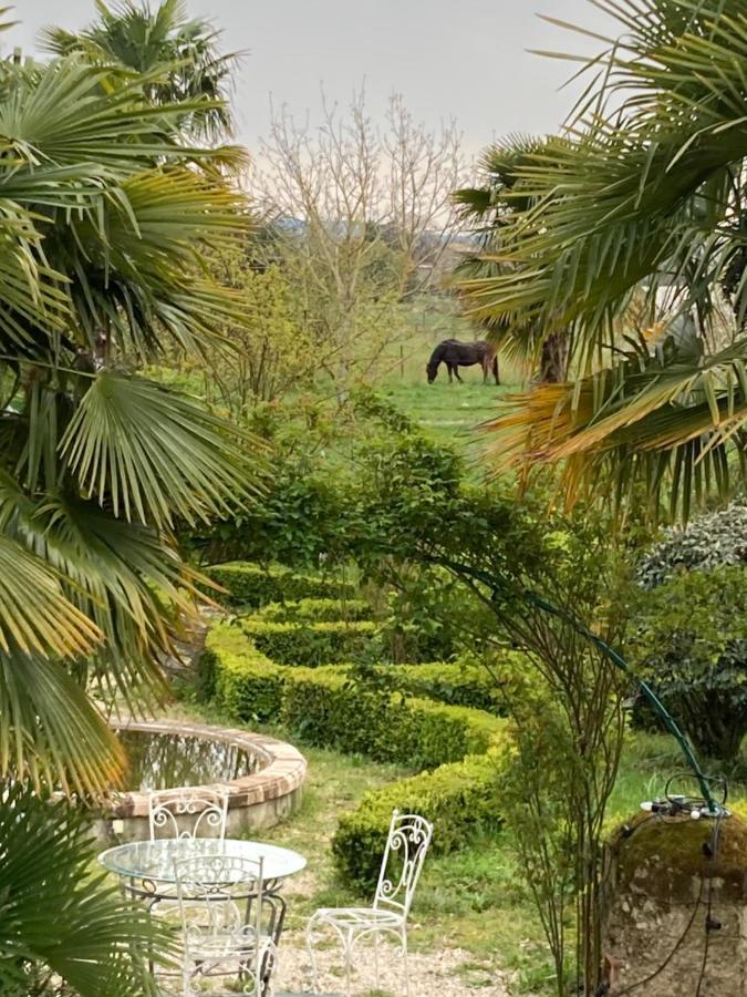 Domaine De Menerque - Petit Chateau Avec Piscine Lisle-sur-Tarn Экстерьер фото