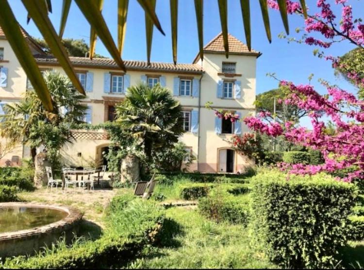 Domaine De Menerque - Petit Chateau Avec Piscine Lisle-sur-Tarn Экстерьер фото