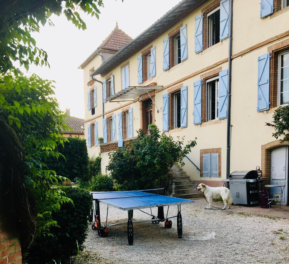 Domaine De Menerque - Petit Chateau Avec Piscine Lisle-sur-Tarn Экстерьер фото