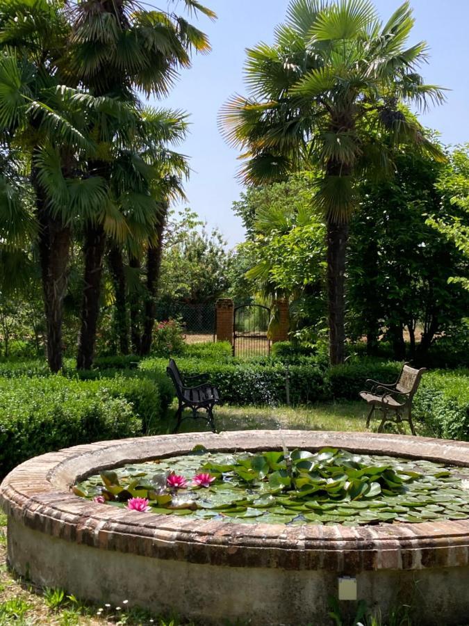 Domaine De Menerque - Petit Chateau Avec Piscine Lisle-sur-Tarn Экстерьер фото